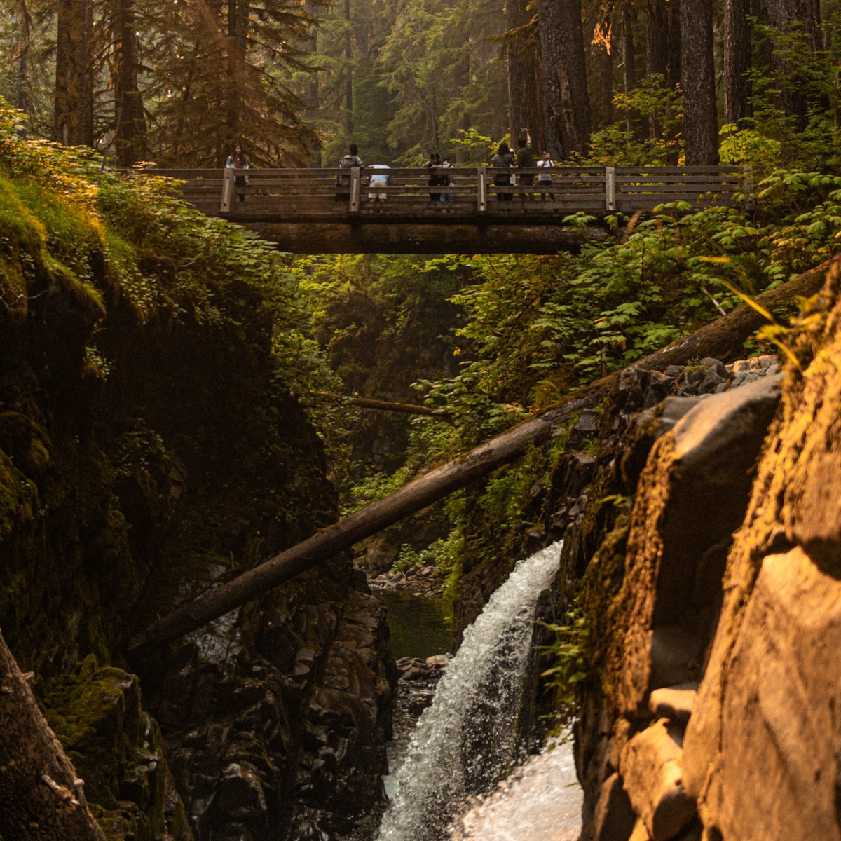 Olympic National Park