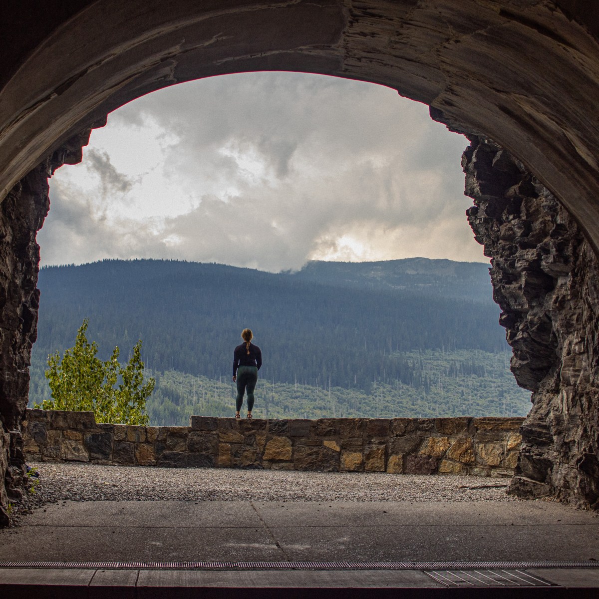 The Pacific Northwest